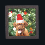 Dogue de Bordeaux Christmas Tree Snowman boîte cad<br><div class="desc">Cute Dogue de Bordeaux Photo Chien avec boîte cadeau de Noël Snowman en arrière - plan. Un cadeau parfait pour Noël !</div>