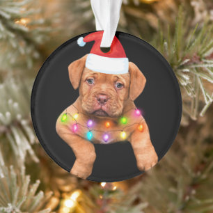 dogue de bordeaux décor de noël pour amoureux de l