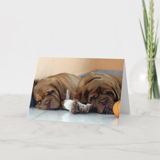 Dogue de Bordeaux Dog Blank Wenskaart Kaart (Voorkant)