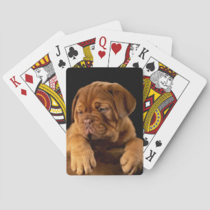 Dogue de Bordeaux - French Mastiff Puppy Pokerkaarten