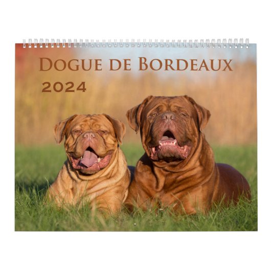 Dogue de Bordeaux Grand Calendrier Mur (Protection)