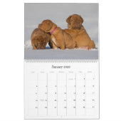 Dogue de Bordeaux Grand Calendrier Mur (Jan 2026)