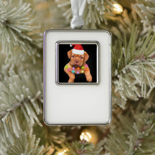 dogue de bordeaux kerst decor voor hondenliefhebbe verzilverd kader ornament