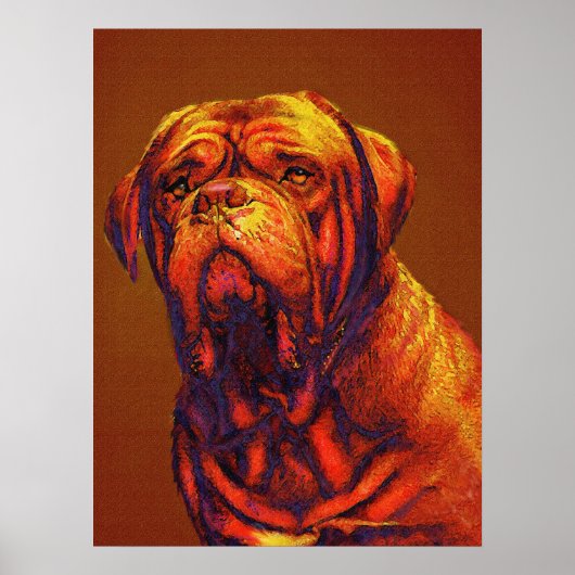 dogue de bordeaux poster (Voorkant)