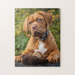 Dogue de Bordeaux Puppy Dog Legpuzzel