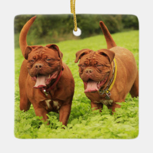 Dogue De Bordeaux Puppy Dogs in het gras Keramisch Ornament