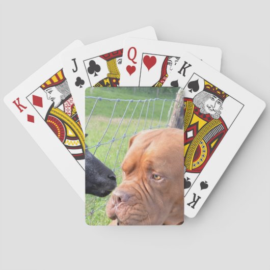 Dogue de Bordeaux Speelkaarten (Achterkant)