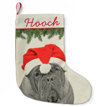 Dogue de Bordeaux  Style