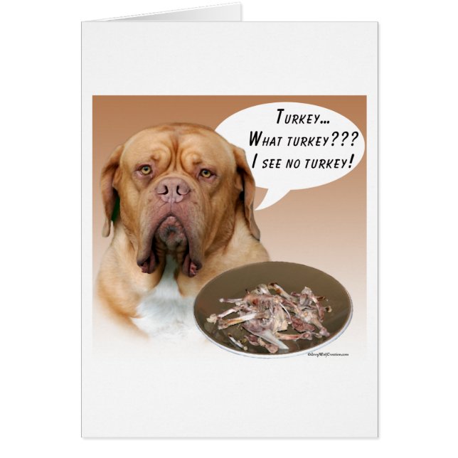 Dogue de Bordeaux Turquie (Devant)