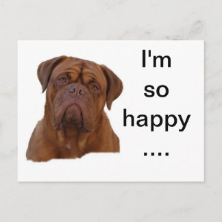 Dogue de Bourdeaux Briefkaart
