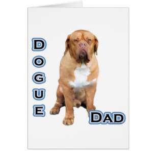 Dogue Papa 4