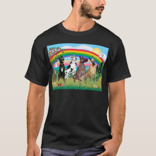 Dogues van de Alpen (vier) - Regenboog Helder T-shirt