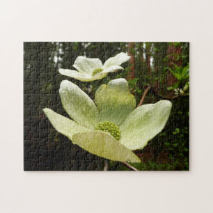 Dogwood and Redwood in Yosemite National Park Legpuzzel