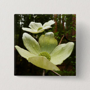 Dogwood and Redwood in Yosemite National Park Vierkante Button 5,1 Cm