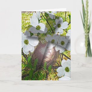 Dogwood Bloem en Kruis Schaduw Groeten Feestdagen Kaart
