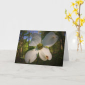 Dogwood Blossom, carte (Fleur jaune)