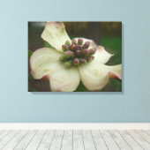 Dogwood Blossom Fotografie Canvas Afdruk (Insitu (Houten vloer))