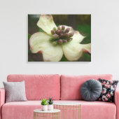 Dogwood Blossom Fotografie Canvas Afdruk (Insitu (Woonkamer))