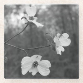 "Dogwood Blossom" Oorspronkelijke kunst van KAS Glazen Onderzetter
