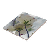 Dogwood Blossom Tegeltje (Zijkant)