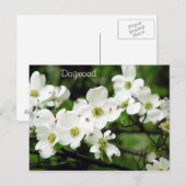 Dogwood Briefkaart (Voorkant / Achterkant)