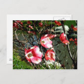 Dogwood Briefkaart (Voorkant / Achterkant)