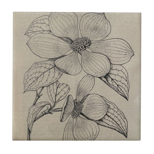 Dogwood Ceramic Tegel Tegeltje (Voorkant)