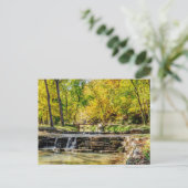 Dogwood Creek Autumn Briefkaart (Staand voorkant)