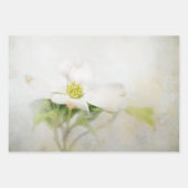 Dogwood Floral Art découpage papier (Devant 2)