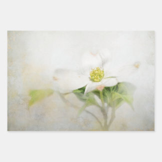 Dogwood Floral Art découpage papier