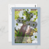 Dogwood Flower and Cross avec John 3:16 Carte post (Devant / Derrière)