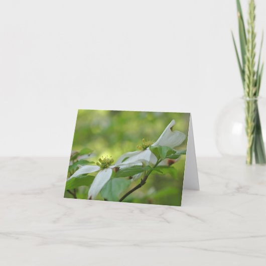 Dogwood Flower Blossoms Personalized (Devant)