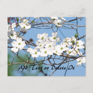 Dogwood Flower briefkaart