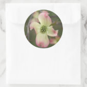 Dogwood Flower Ronde Sticker (Tas)