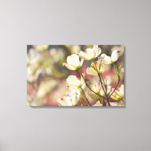 Dogwood Flowers Canvas Afdruk