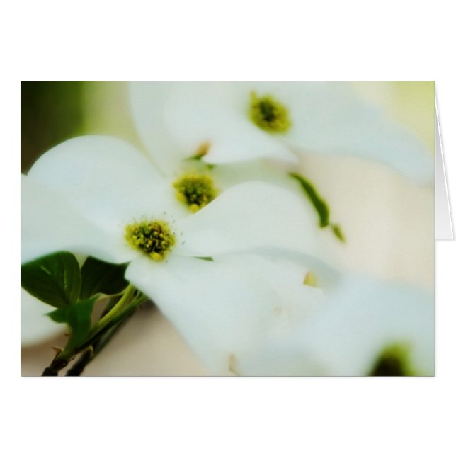 Dogwood Flowers Card (Voorkant Horizontaal)