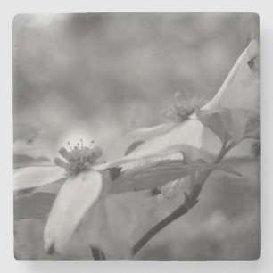 Dogwood Flowers in zwart-wit Stenen Onderzetter