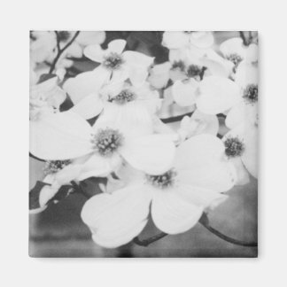Dogwood Magneet