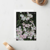 Dogwood Notitiekaartje (Voorkant / Achterkant in situ)