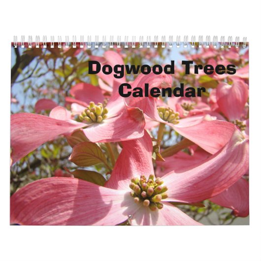 Dogwood Tree Calendrier Pink Dogwoods Fleurs art (Protection)