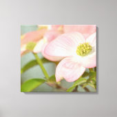 Dogwood Tree Canvas Afdruk (Voorkant)