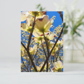 Dogwood Tree Kaart (Staand voorkant)