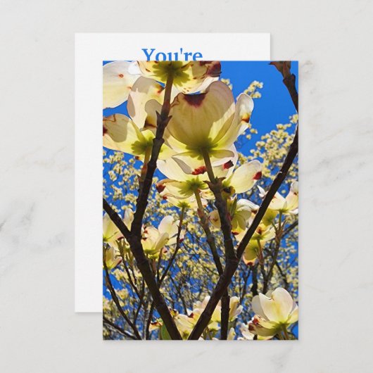 Dogwood Tree Kaart (Voorkant / Achterkant)
