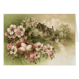 Dogwood Tree Oiseau Nid Oiseau Cottage OEuf