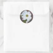 Dogwood Tree Ronde Sticker (Tas)