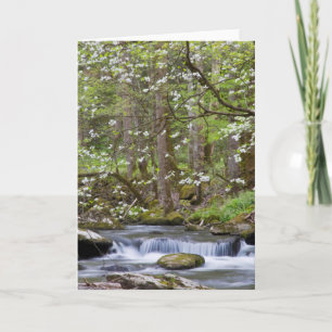 Dogwood Trees Grote Smoky Mountain, Tennessee Kaart