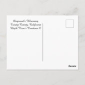 Dogwood's Blooming....... Briefkaart (Achterkant)