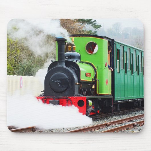 Dolbadarn-trein Muismat (Voorkant)