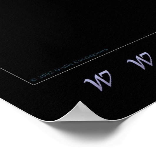 Dolfijn 2 poster (Hoek)