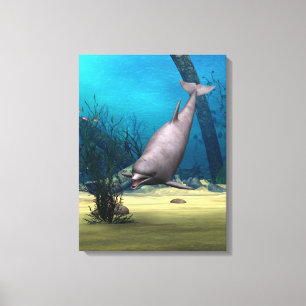 Dolfijn Canvas Afdruk